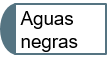 Aguas negras