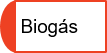 Biogás