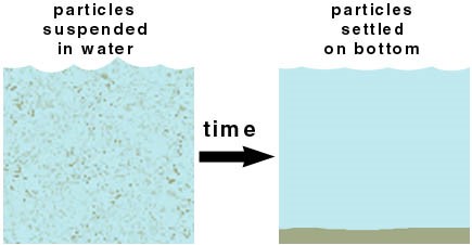 Sedimentation Process. Source: CASIDAY et al. (1999)