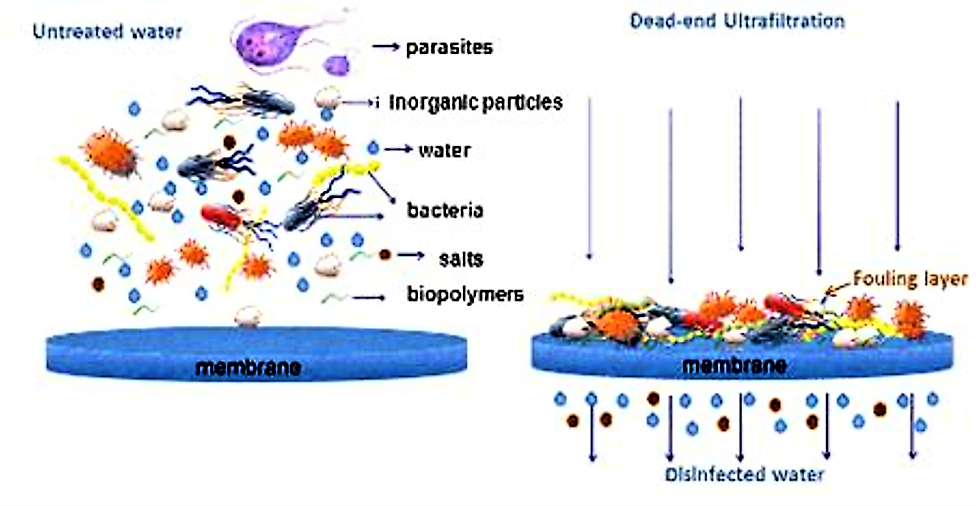 Scheme of membrane filtration : during ultrafiltration all particles and pathogenic microorganisms are retained on a porous membrane while water and dissolved salts pass through Source: EAWAG (n.y.).