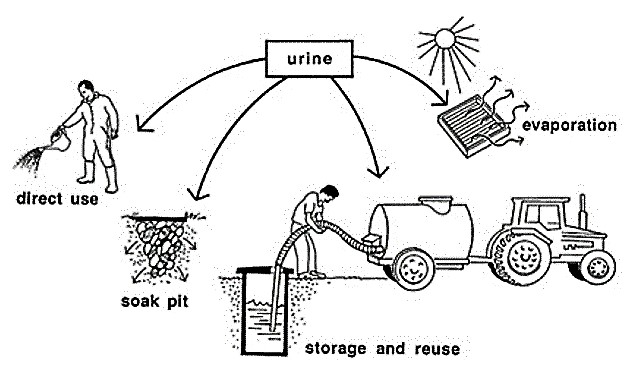 Alternative ways of handling/using urine diverted from toilets. Source: ESREY et al. (1998)