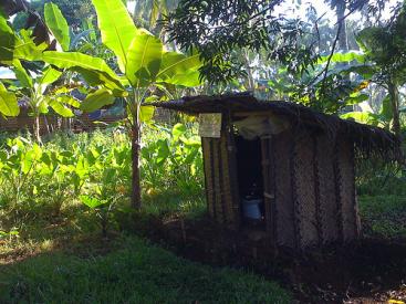 Arborloo in a rural area of Misamis Oriental (Philippines). Source: R. Gensch    