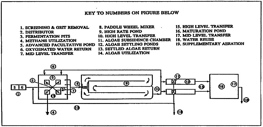 Schematic diagram showing the elements and sequence of treatment in an advanced integrated wastewater pond system (AIPS). Source: GREEN et al. (1996)