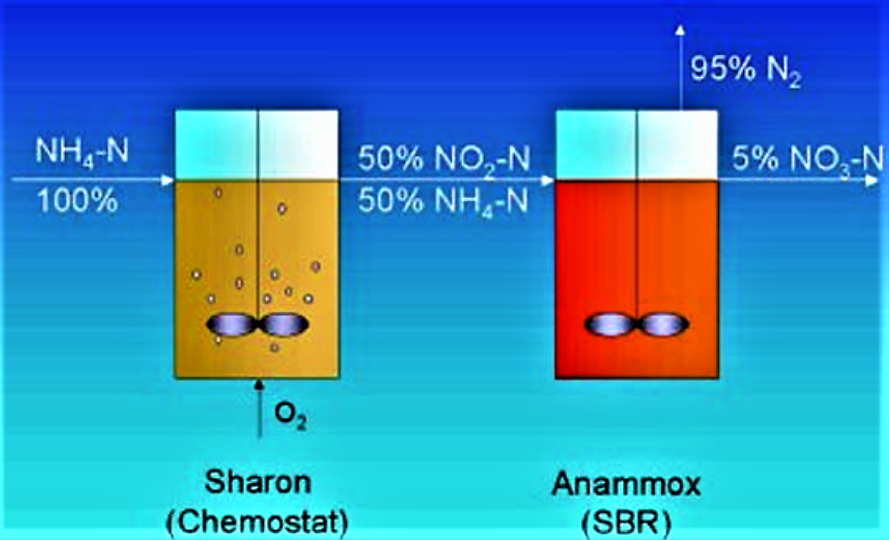 Anammox | دروبال