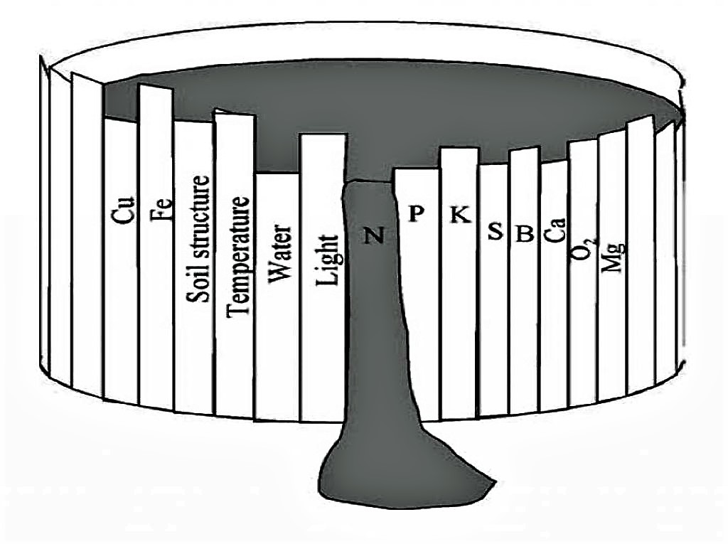 Limiting Factors for plant growth. Source: JOENSSON et al. (2004)