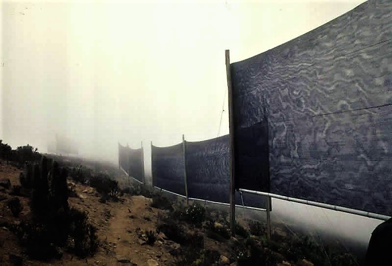 Fog collectors on El Tofo Mountain, Chile. Water from the fog condenses on nets