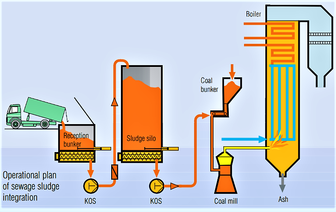 Operational plan of sewage sludge integration. Source: PUTZMEISTER (2001) 