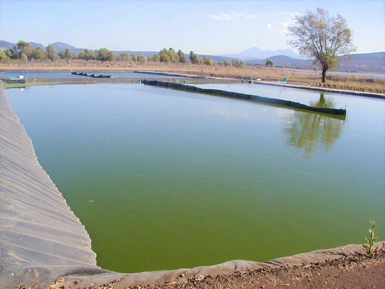 Laguna de estabilización. Santa Fe de la Laguna, Quiroga, Michoacán