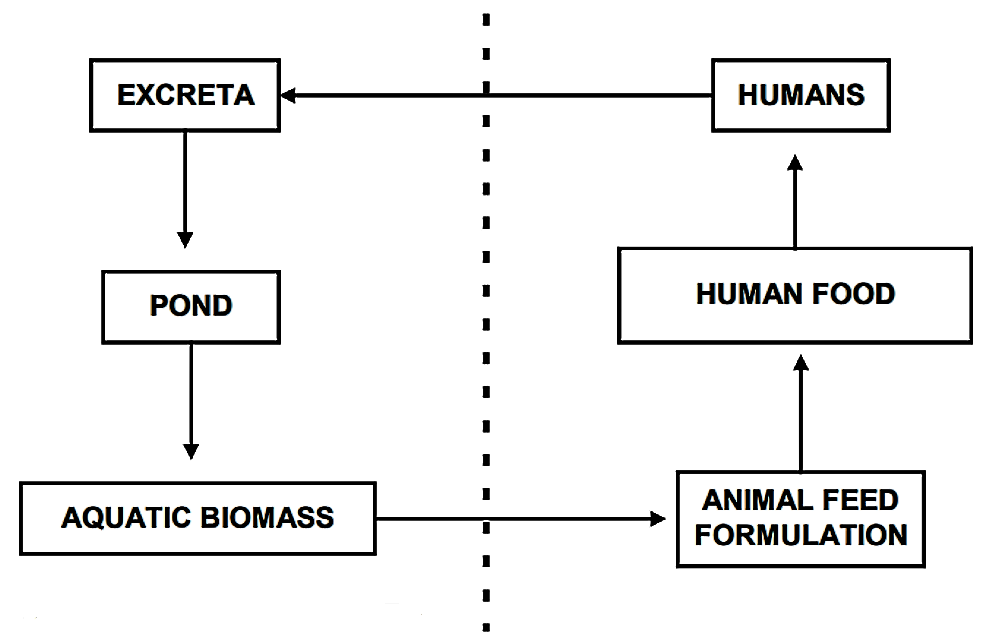 Resource Recovery and Reuse. Source: EWARDS (1990) in ROSE (1999)