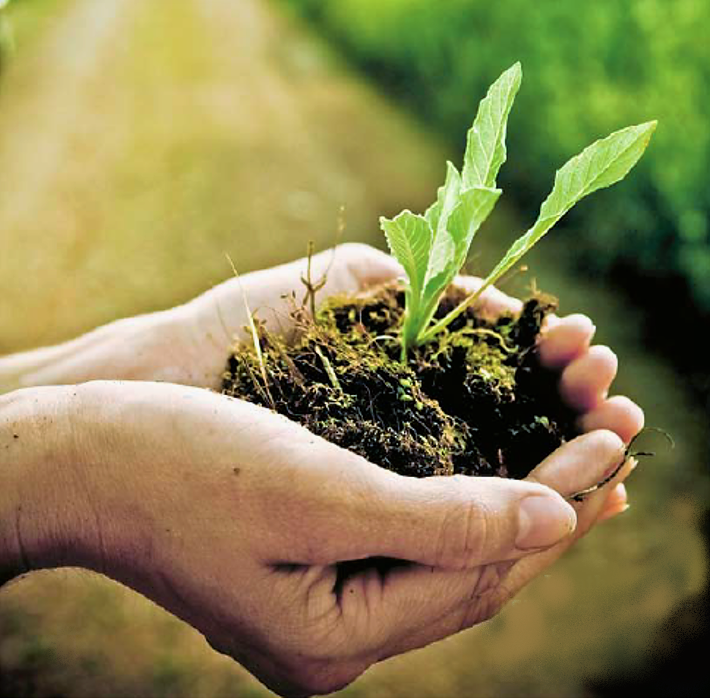 Compost is a valuable soil amendment. It improves soil structure and helps plant to grow. Source: ROUSE et al. (2008)