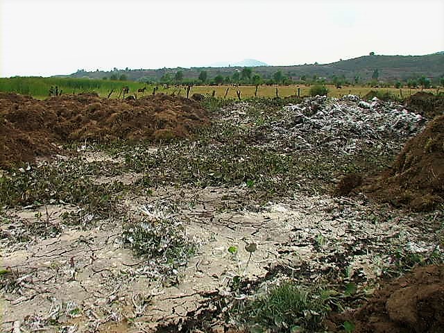 Disposición de lodos y estabilización con cal