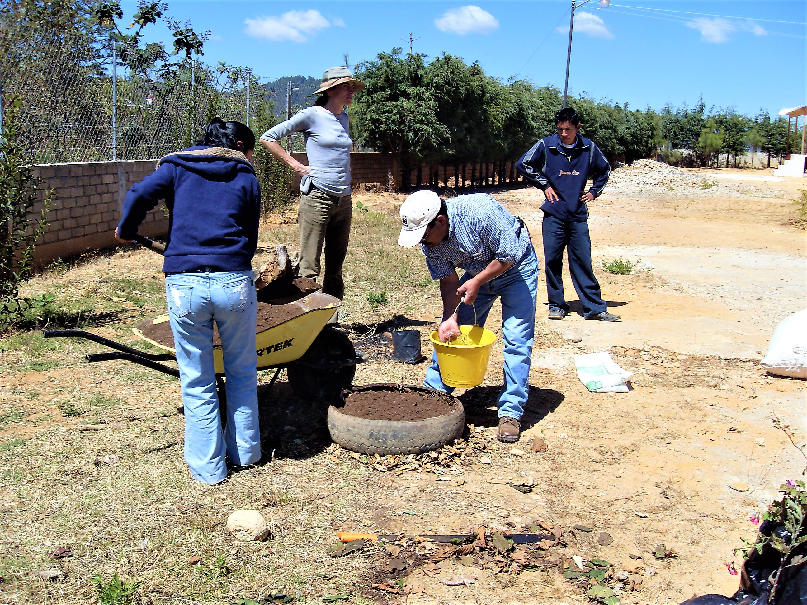 Aplicación de humus