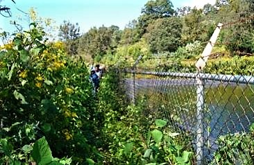 A small reservoir in the hills of Tepoztlán (Morelos, Mexico), which is mainly filled by precipitation catchment. The water is extracted by gravity and is protected by a fence to avoid contamination from animals or unauthorised use. The reservoir is sealed with an impermeable liner