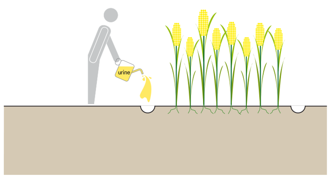 Application of Stored Urine. Source: TILLEY et al. (2014) 