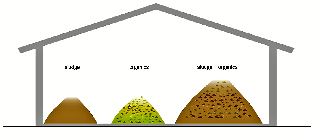 Schematic of the Co-compost. Source: TILLEY et al. (2014)