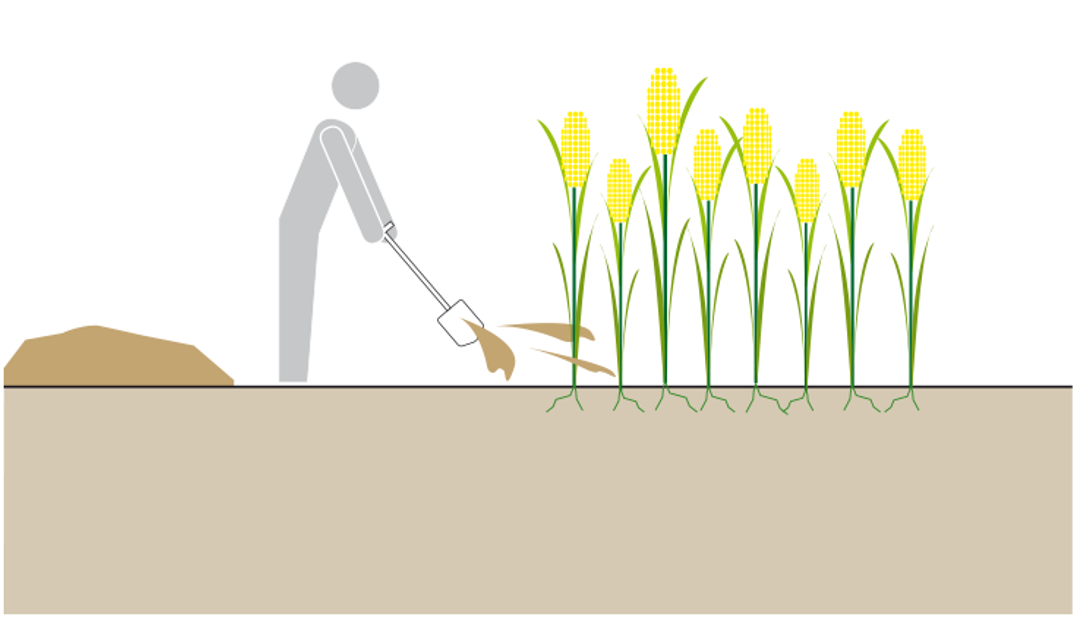 Schematic of the use of compost. Source: TILLEY et al. (2014)   