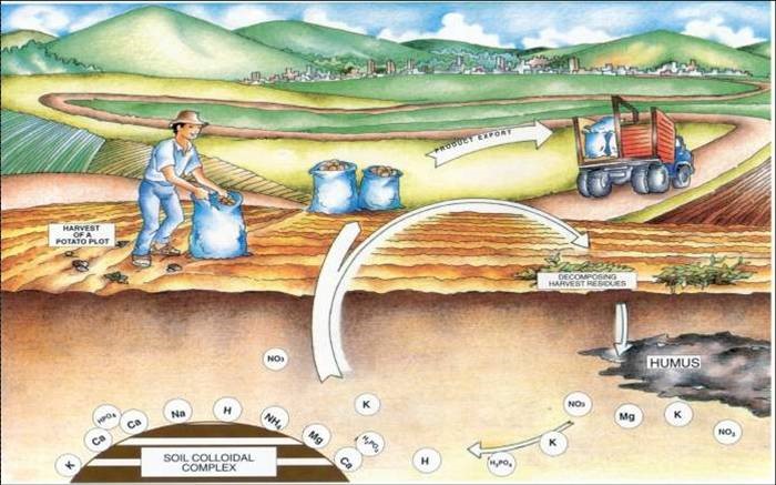 Nutrient removal by harvesting crops. Source: UNKNOWN (n.y.)