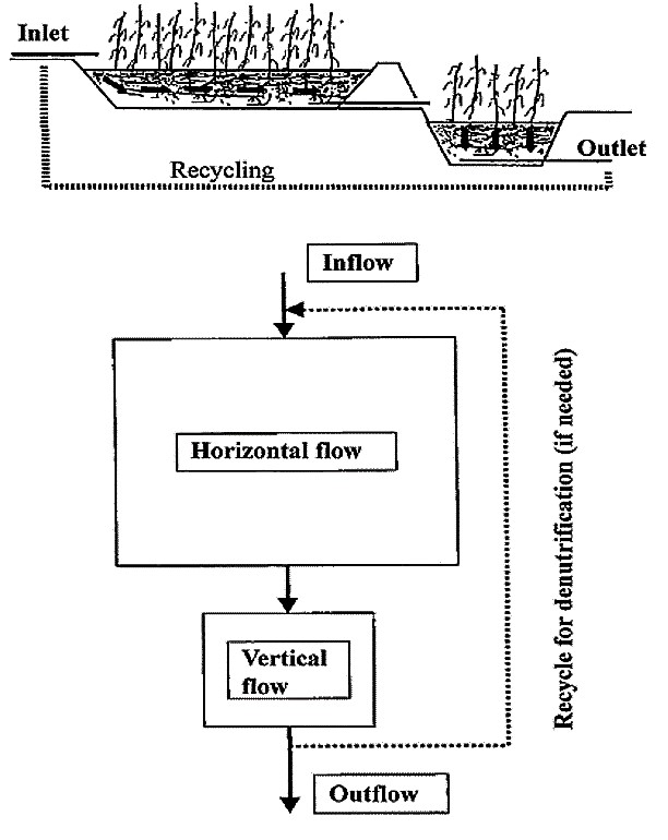 Two stage HF-VF hybrid constructed wetland based on Brix and Johansson. Source: VYMAZAL (2005) 