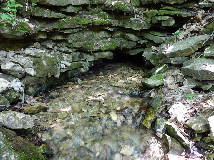 Spring emerges from a fracture in a rock exposure (Wisconsin)