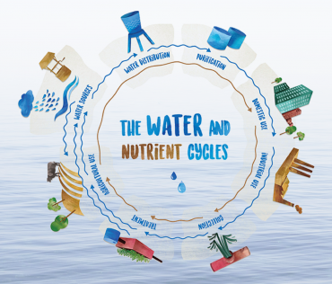 water_and_nutrient_cycle.png